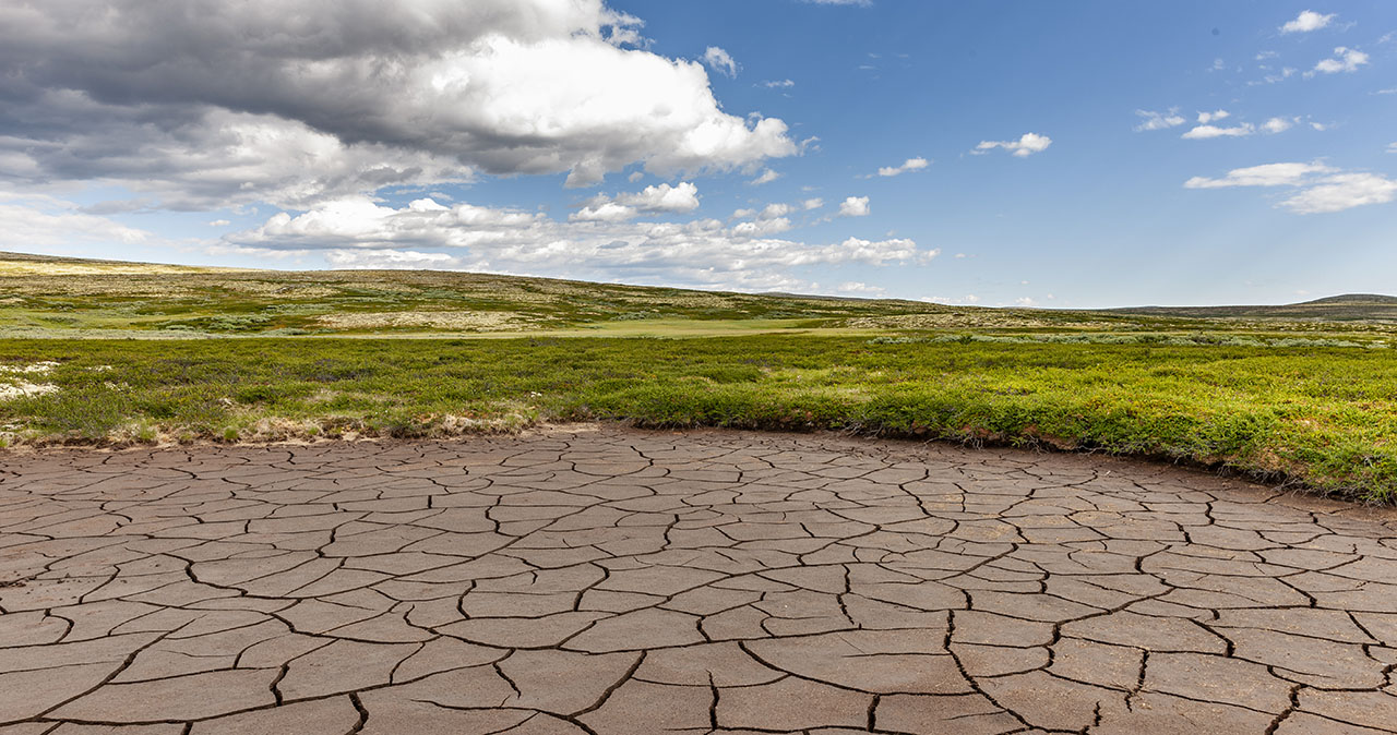 /documents/776357/27995967/PORTADA+medio+ambiente.jpg/766829da-e3d1-69fc-5df7-64a92cdcffd0?t=1675858494197