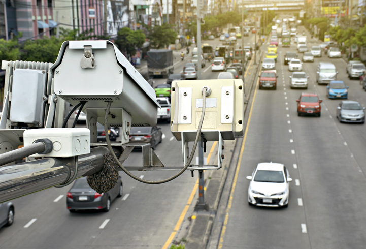 ¿Qué hacer si te encuentras a un animal en la carretera?