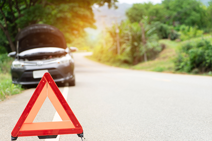¿Qué hacer si te encuentras a un animal en la carretera?